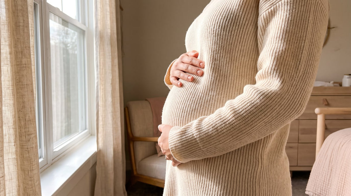 Seitenprofil einer Schwangeren mit kleinem fruehem Babybauch im cremefarbenen Rippstrick am hellen Fenster, Haende um die Woelbung